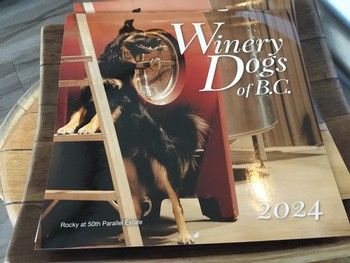Dog Calendar - 2024