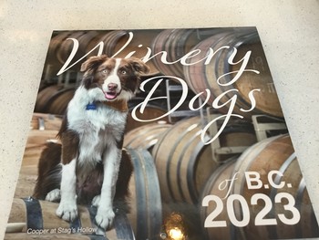 Dog Calendar - 2023