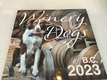 Dog Calendar - 2023